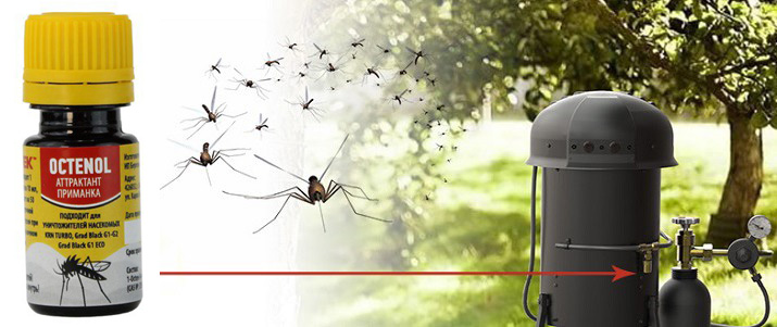 Аттрактант