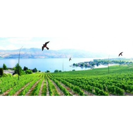 Отпугиватель птиц «Крук»